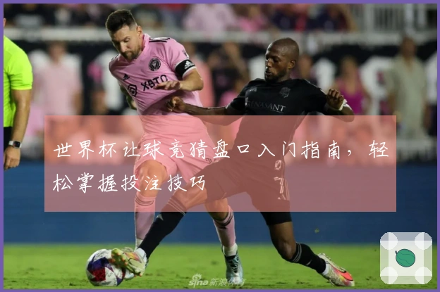 世界杯让球竞猜盘口入门指南，轻松掌握投注技巧