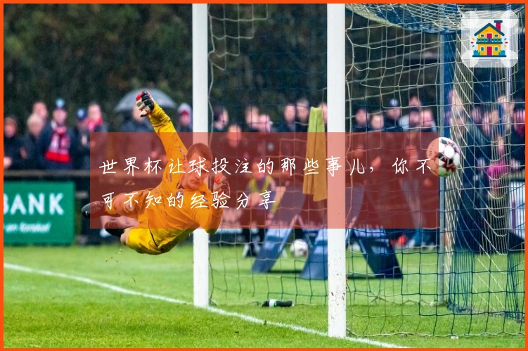 世界杯让球投注的那些事儿，你不可不知的经验分享