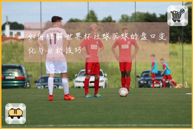 如何理解世界杯让球买球的盘口变化与分析技巧