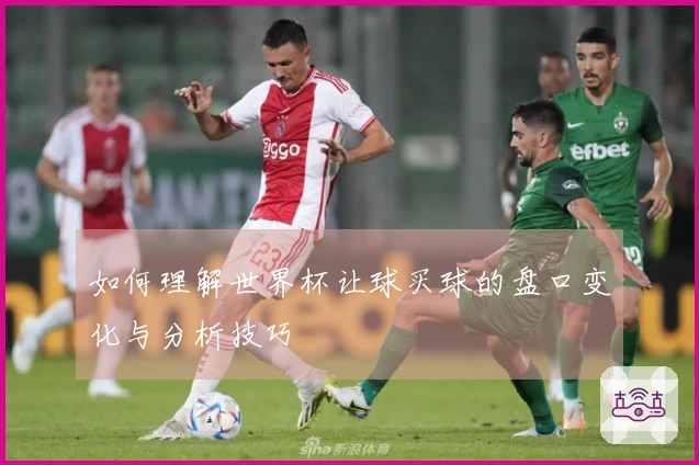 如何理解世界杯让球买球的盘口变化与分析技巧