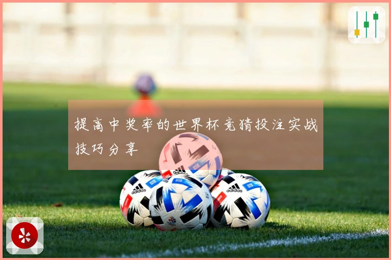提高中奖率的世界杯竞猜投注实战技巧分享