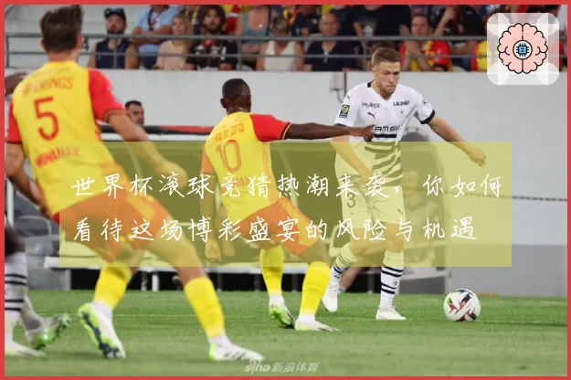 世界杯滚球竞猜热潮来袭，你如何看待这场博彩盛宴的风险与机遇