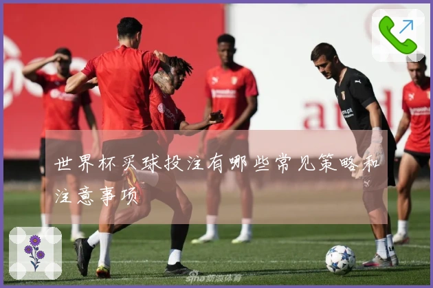 世界杯买球投注有哪些常见策略和注意事项